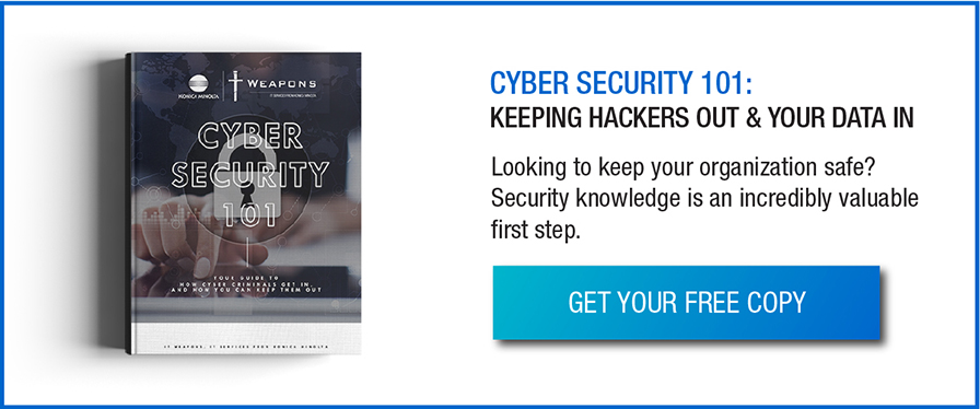 Cyber Security 101: Keeping Hackers Out and Your Data In. Get your Free Copy.